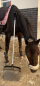Preview: Pferd mit Mistgabel FU 846 Preview: Pferd mit Mistgabel FU 846