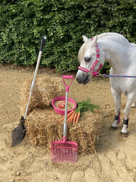 Pferd mit Forke vor Heuballen Pferd mit Forke vor Heuballen